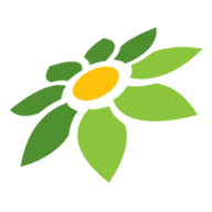 LINK ASIA999